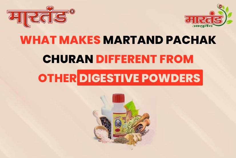 What Makes Martand Pachak Churan Different from Other Digestive Powders
